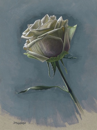 Peinture de Paul Magendie en trompe l'oeil appele rose blanche